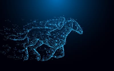 Horse Racing Handicap Maths Algorithm