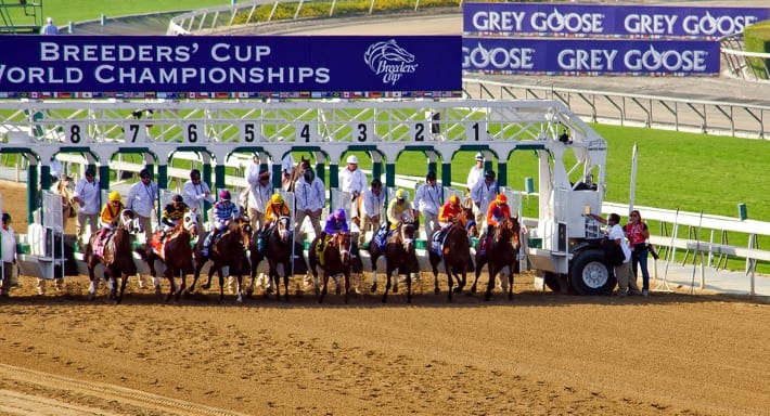 The Breeders' Cup