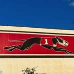 Greyhound racetrack