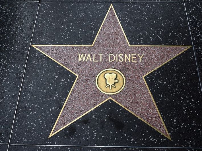 Walt Disney Hollywood star