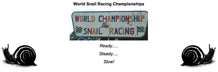 World Championship Snail Racing